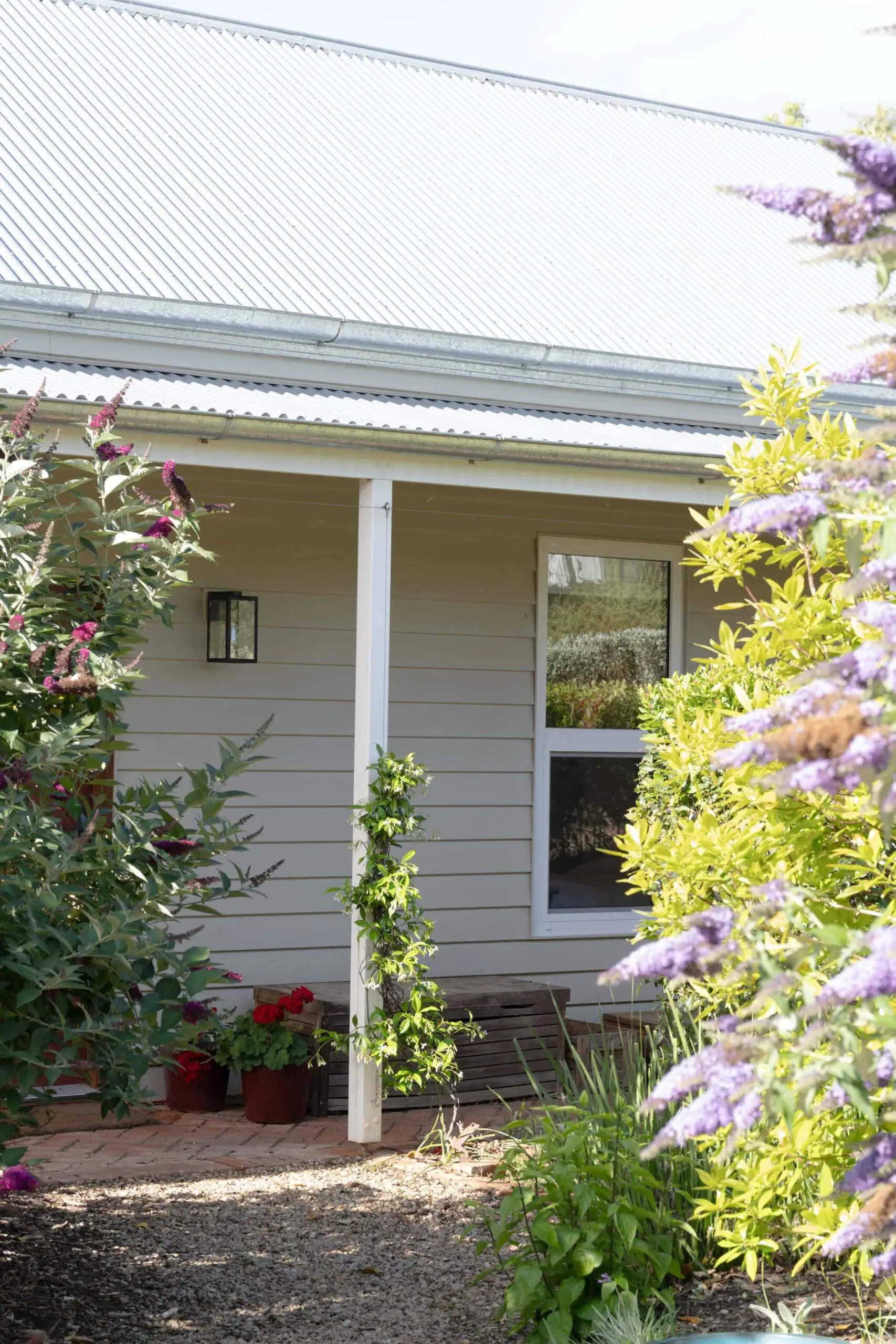 Australian garden home with lush greenery and flowering plants.