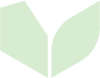 light-green-hi-res